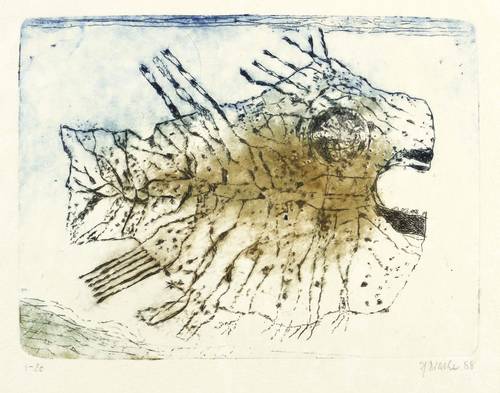 Drache, Heinz -  -  - Fisch