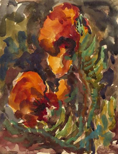 Drechsler, Klaus -  -  - Mohnblüten vor dunklem Grund