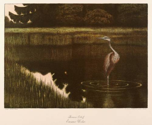 Osthoff, Hermann -  -  - Einsamer Weiher