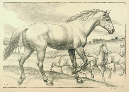 Volkmann, Arthur -  -  - Galoppierende Pferde