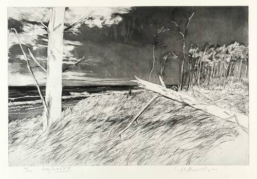 Werkmeister, Wolfgang -  -  - Darß XXXIV