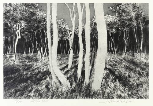 Werkmeister, Wolfgang -  -  - Darß XXIV