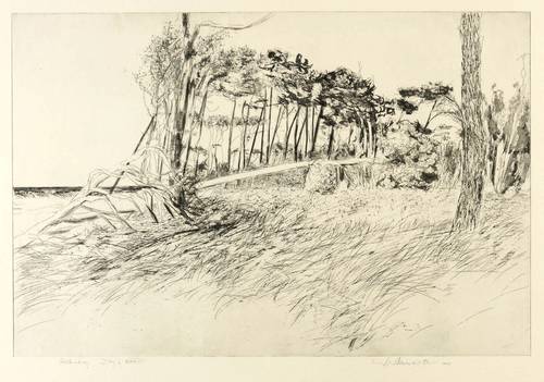 Werkmeister, Wolfgang -  -  - Darß XXXVIII