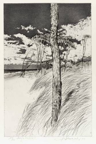 Werkmeister, Wolfgang -  -  - Darß XXXXIII