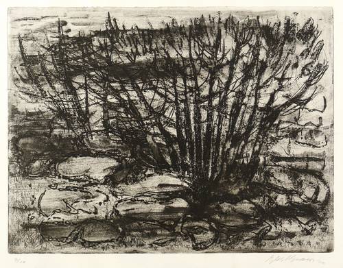 Spars, Eylert -  -  - Ohne Titel (Landschaft)