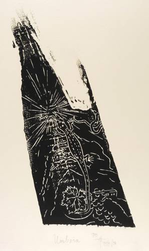 Hafner, Jonas -  -  - Umbria