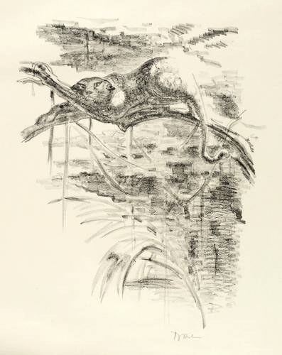 Behn, Fritz - Afrikanische Visionen - Afrikanische Visionen - Leopard im Baum