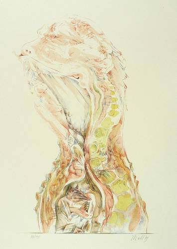 Herold, Rainer -  -  - Kopf