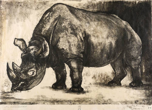 Kempe, Fritz -  -  - Ein Doppelnashorn