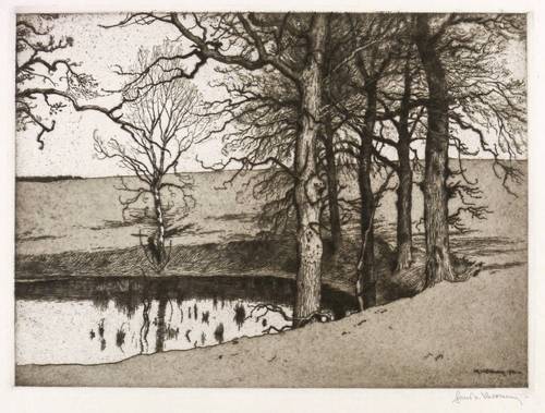 Volkmann, Hans Richard von -  -  - Bäume am Teichufer