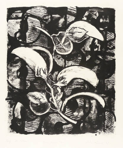 Roome, John -  -  - Bean Series V