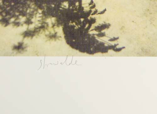 Strawalde (Jürgen Böttcher) -  -  - Projektion I