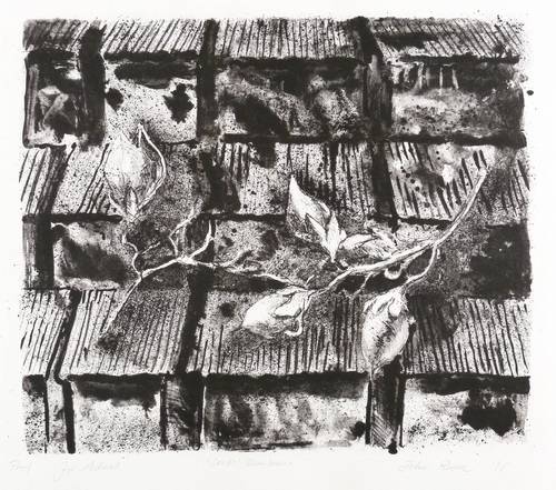 Roome, John -  -  - Seeds (Bean Series)