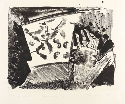 Roome, John -  -  - Bean Series IV