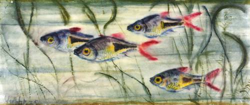 Gelbke, Georg -  -  - Rotflosser. Rotflossen