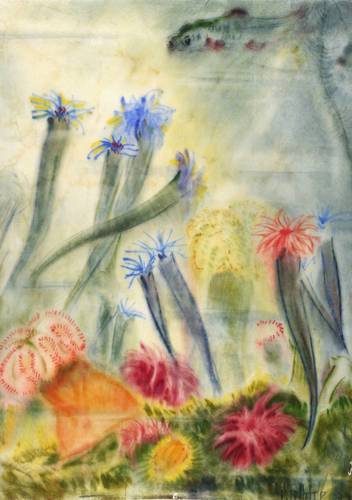 Gelbke, Georg -  -  - Seenelken I