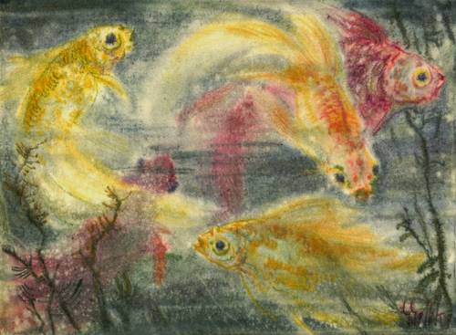 Gelbke, Georg -  -  - Gelbe und rote Schleierschwänze