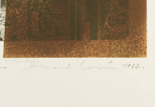 Leon, Hernando -  -  - Elisas Welt