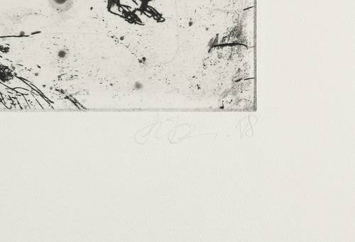Liebmann, Werner -  -  - Die Fuhre