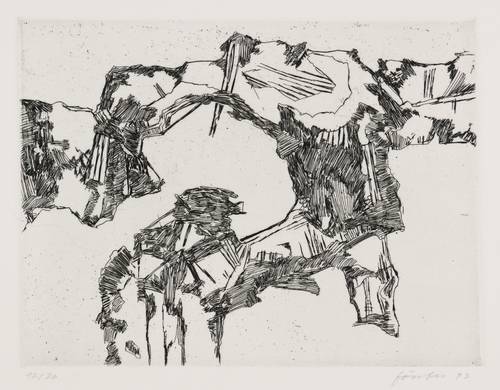 Förster, Wieland - Flugbilder - Flugbilder - Das gute Riff