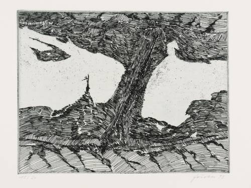 Förster, Wieland - Flugbilder - Flugbilder - Der Damm