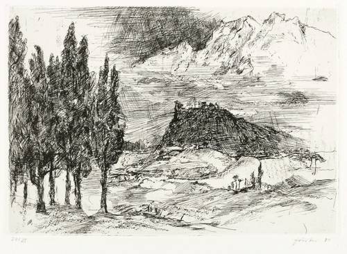 Förster, Wieland -  -  - Oberitalienische Landschaft (bei Verona)