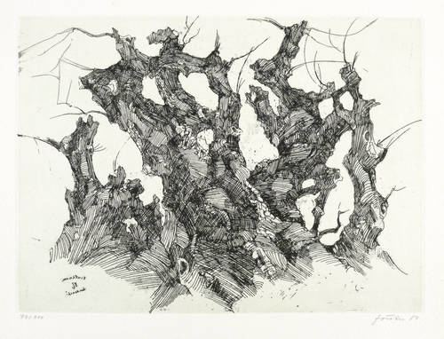 Förster, Wieland -  -  - Platanen in Sandanski