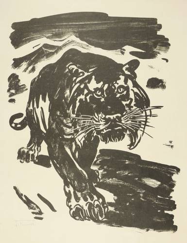 Fraaß, Erich -  -  - Tiger Sascha