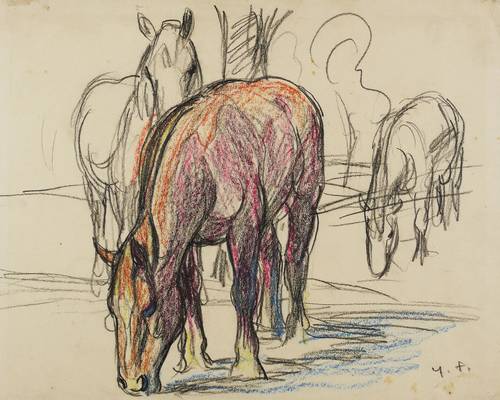 Fraaß, Erich - Pferdeskizze - Pferdeskizze - 
