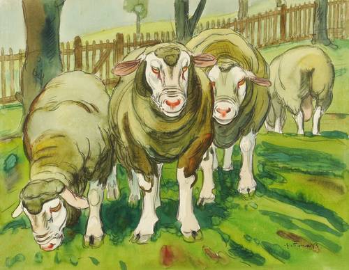 Fraaß, Erich -  -  - Merinoschafe (Löthain bei Meißen)