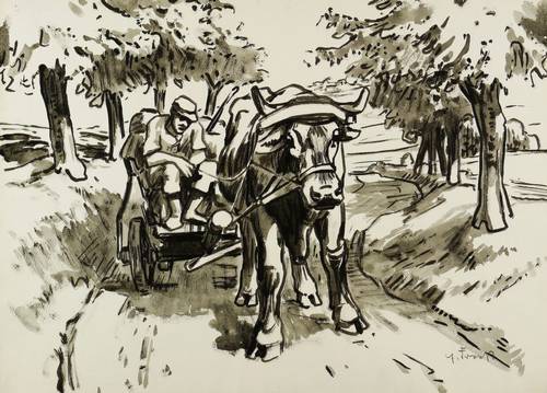 Fraaß, Erich -  -  - Ochsengespann