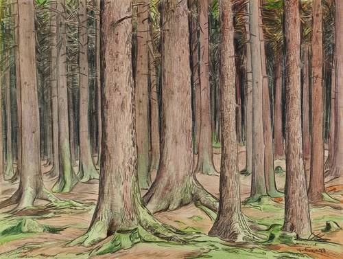 Fraaß, Erich -  -  - Waldinneres II