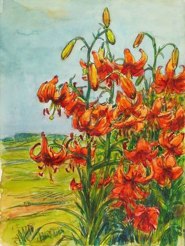 Fraaß, Erich -  -  - Tigerlilien