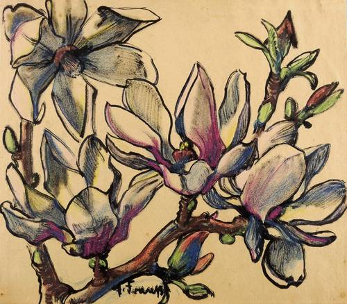 Fraaß, Erich -  -  - Magnolienblüten
