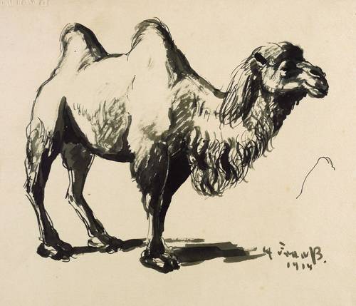 Fraaß, Erich -  -  - Trampeltier