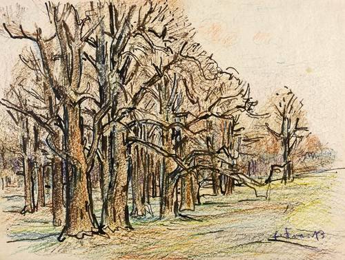 Fraaß, Erich -  -  - Herbst (Moritzburger Forst)