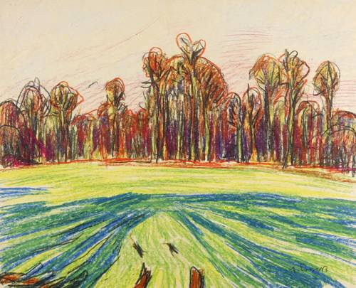 Fraaß, Erich -  -  - Moritzburger Wald