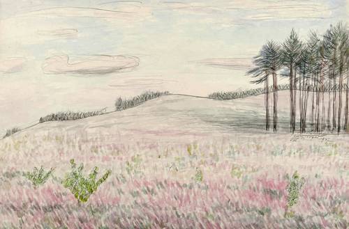 Tröger, Fritz -  -  - Anhöhe mit Kieferngruppe