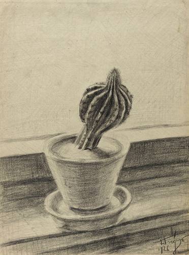 Tröger, Fritz -  -  - Stillleben mit Kaktus