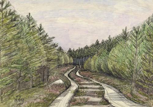 Tröger, Fritz -  -  - Waldweg