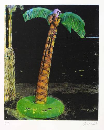 Zesch, Silvio -  -  - Paradiso Nero (Palme)