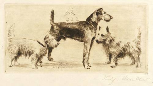 Müller, Richard -  -  - Hundegesellschaft