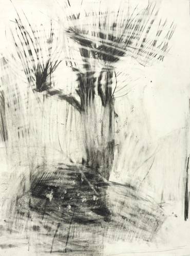 Poppe, Nadja -  -  - Weide