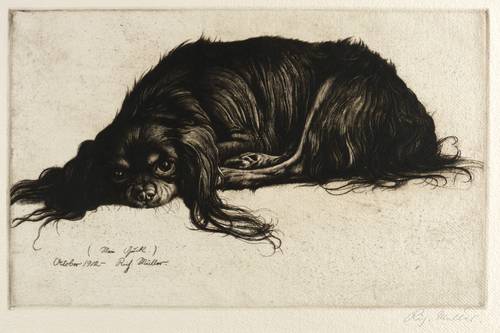 Müller, Richard -  -  - Mein Quick