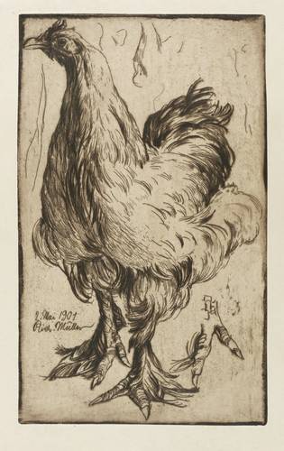 Müller, Richard -  -  - Huhn