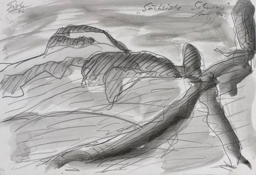 Giebe, Hubertus -  -  - Sächsische Schweiz