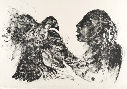 Hampel, Angela -  -  - Cyril, heller Falke (für D.)