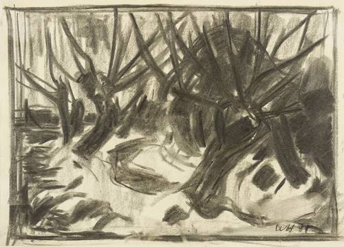 Haselhuhn, Werner -  -  - Kopfweiden