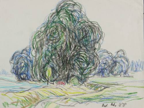 Haselhuhn, Werner -  -  - Auenlandschaft mit Weiden