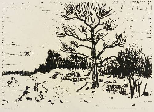 Haselhuhn, Werner -  -  - Winter